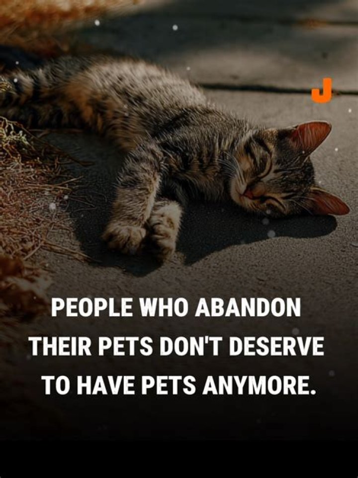 Are abdicate and abandon?