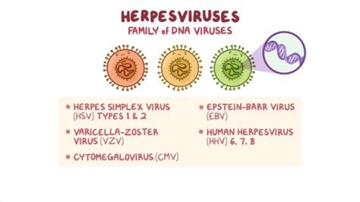 Are all herpesviruses the same?