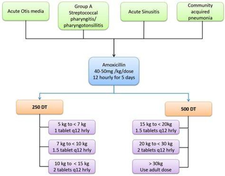 Are augmentin and amoxiclav the same?