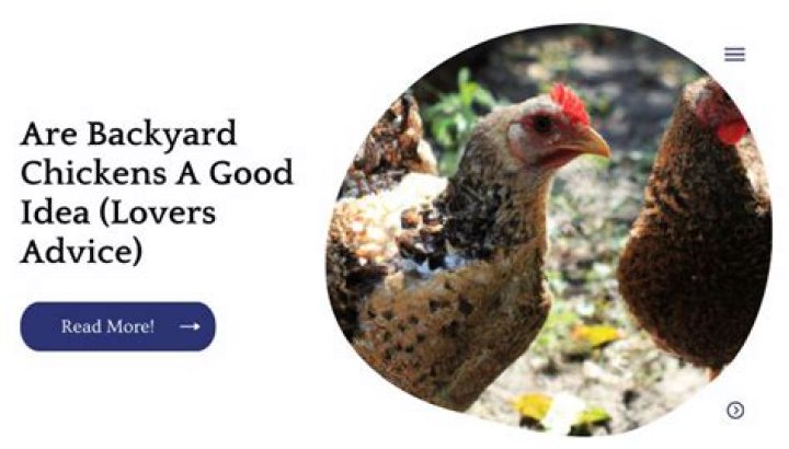Are backyard chickens a good idea?
