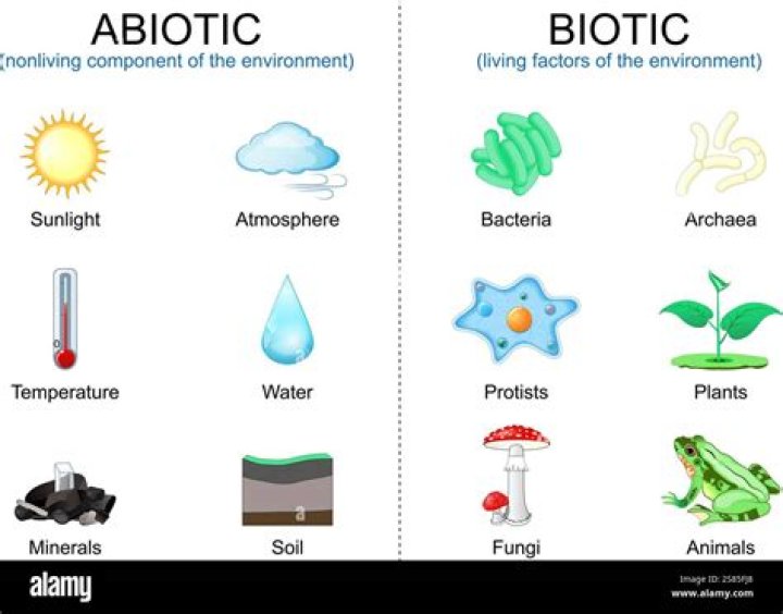 Are bushes biotic or abiotic?