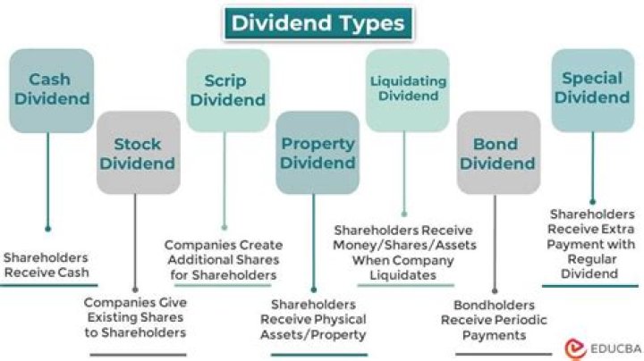 Are dividends an asset?