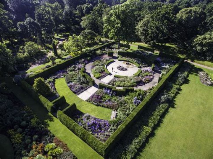 Are dogs allowed in savill gardens?