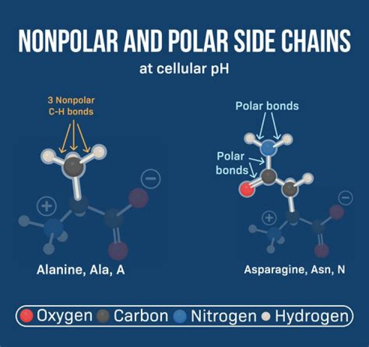 Are halides polar or nonpolar?