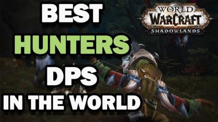 Are hunters good in shadowlands?