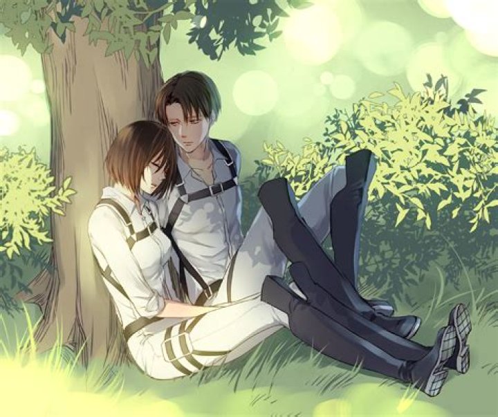 Are levi ackerman and mikasa ackerman related?
