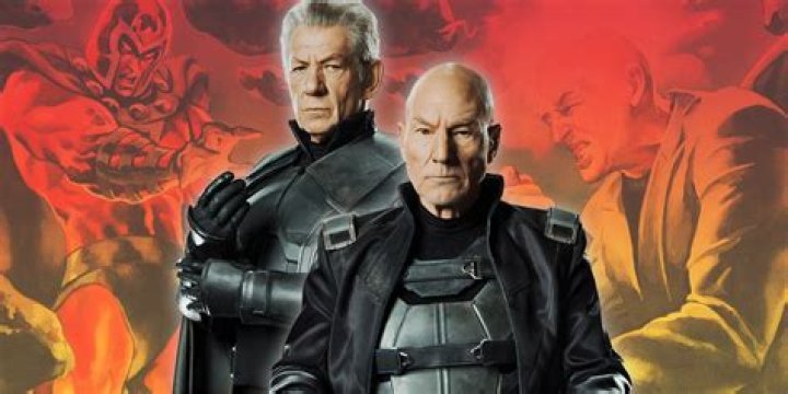 Are magneto and professor x brothers?