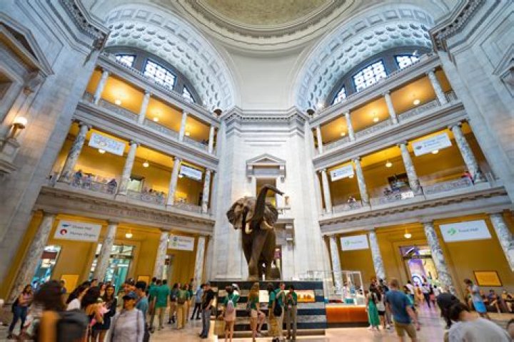 Are museums open in london?