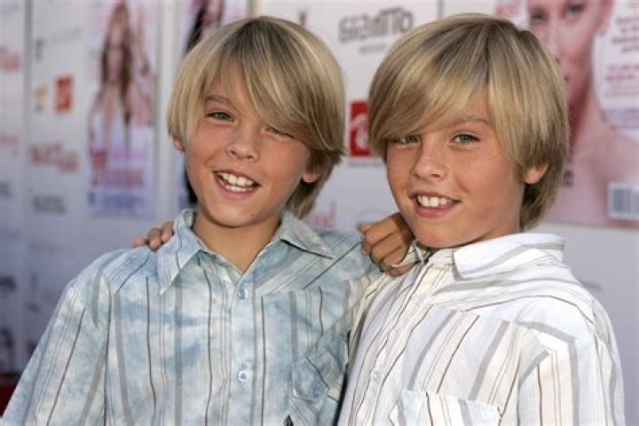 Are the elric brothers twins?