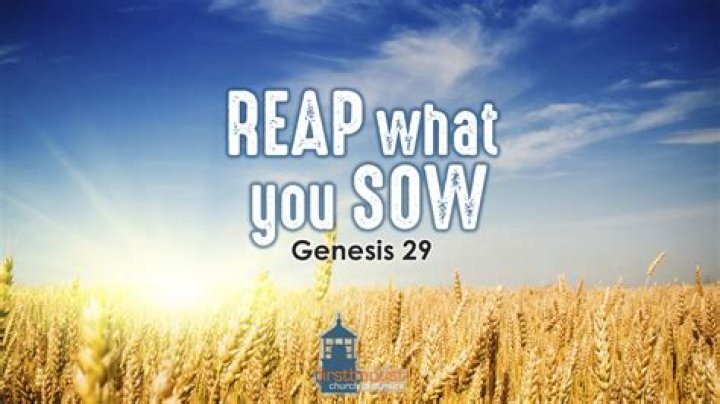 Are we reap what we sow?
