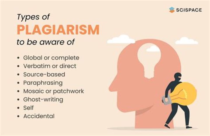 At does plagiarism mean?