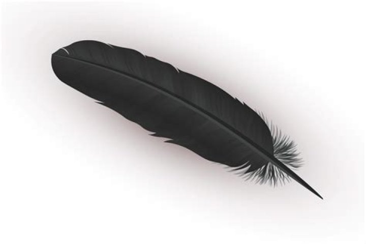 At feather in one's cap?