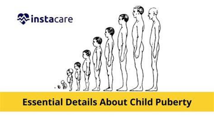 At puberty what stimulates the growth of duct tissue?