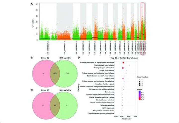 By bulked segregant analysis?