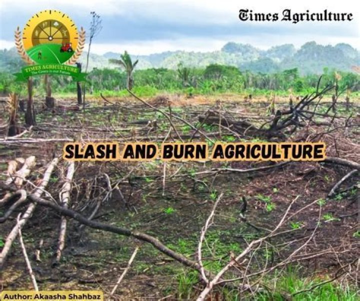 By slash and burn agriculture?
