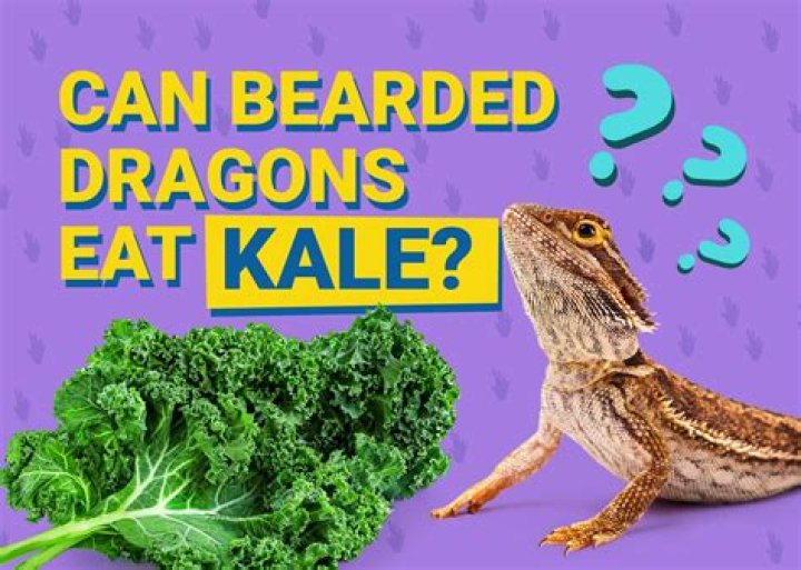 Can bearded dragons eat kale?
