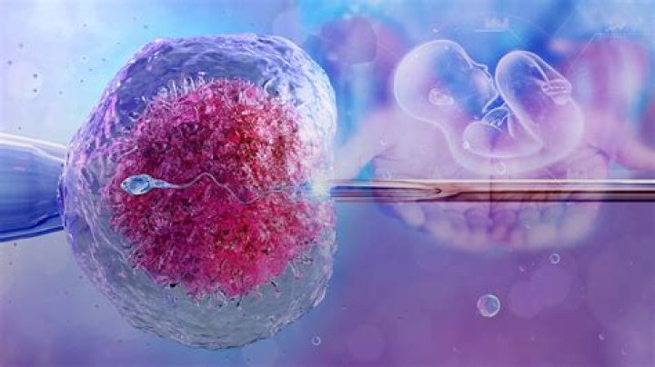 Can chromosomally abnormal embryos implant?