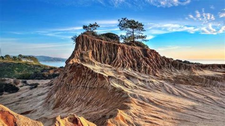 Can dogs hike torrey pines?