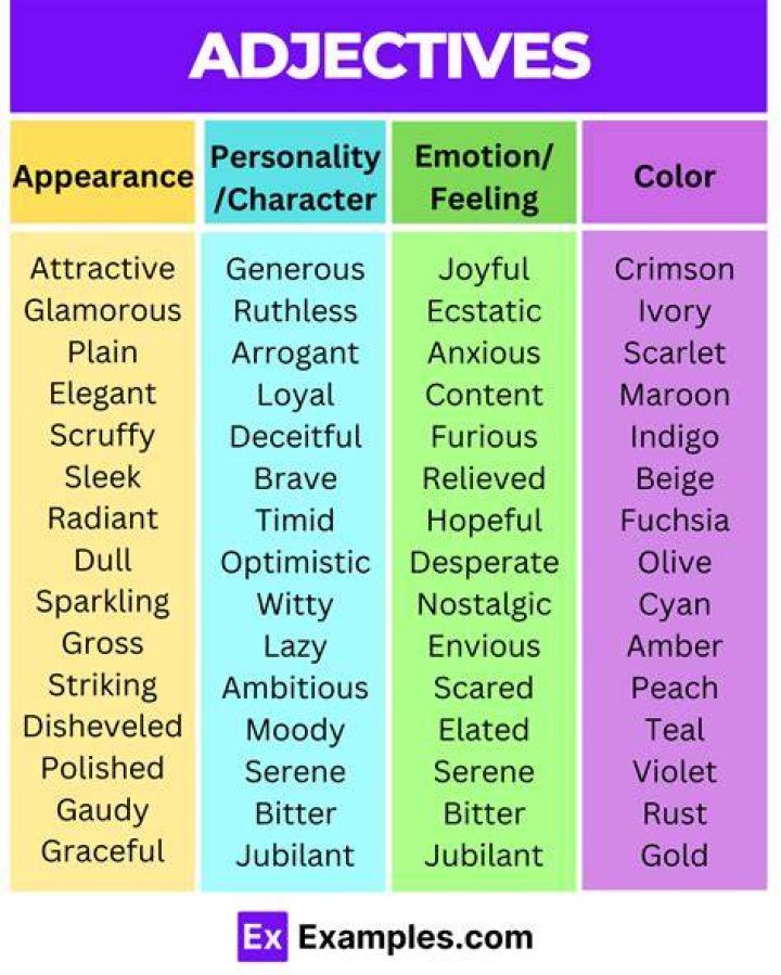 Can dubious be used as an adjective?