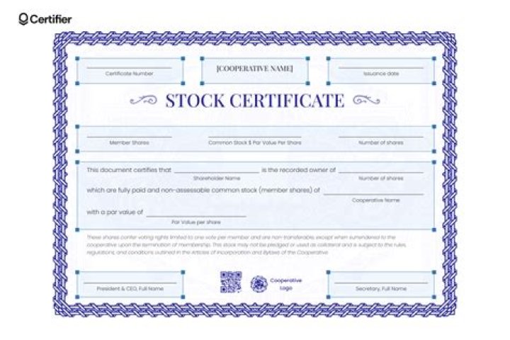 Can section 8 company issue shares?