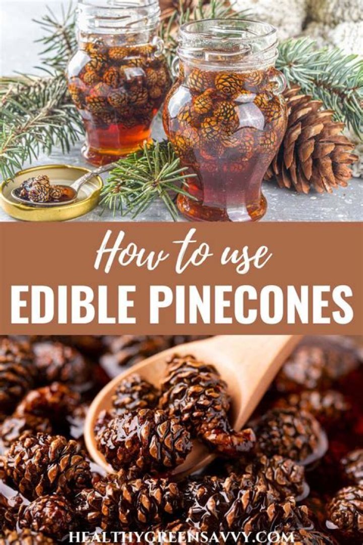 Can we eat pine cone?