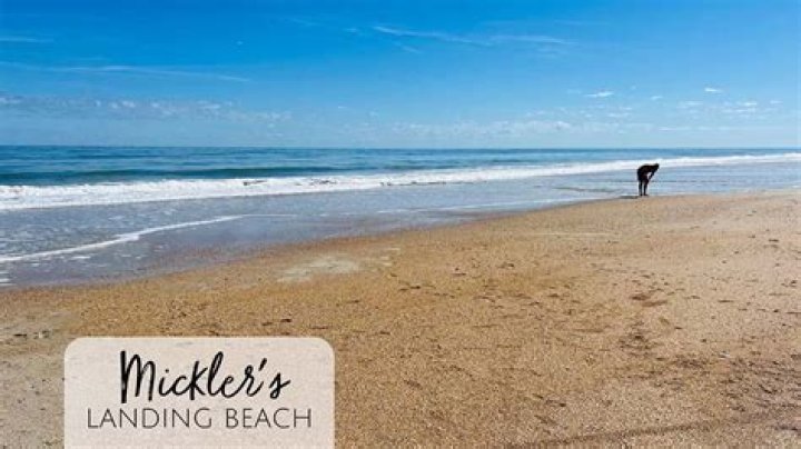 Can you drive on mickler's beach?