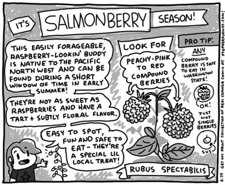 Can you eat salmonberry?
