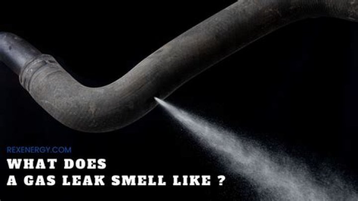 Could a gas leak smell like skunk?