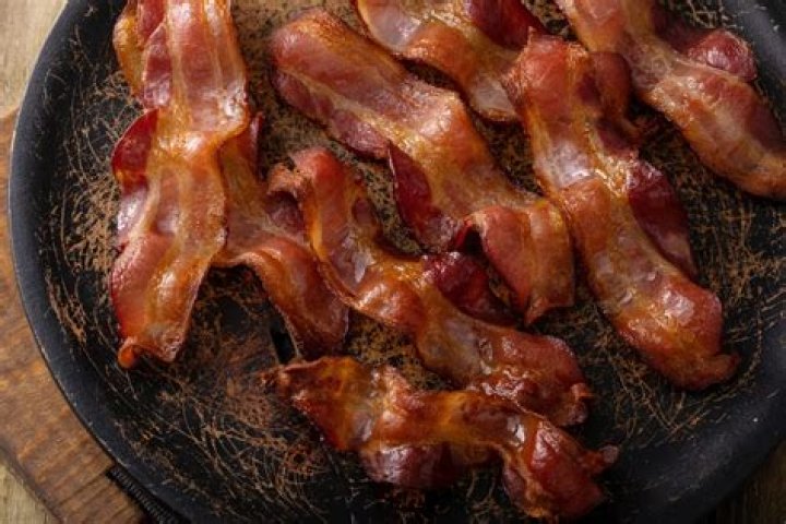 Could dogs have bacon?