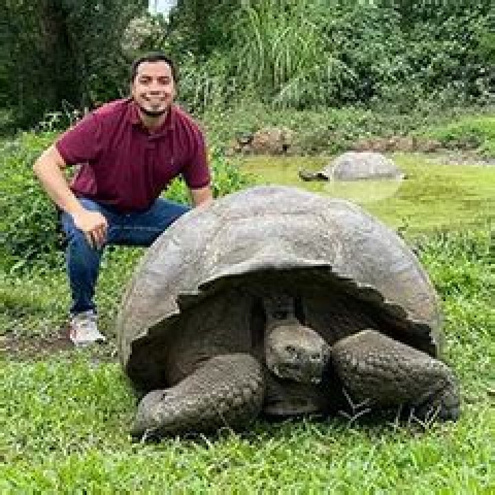 Did charles darwin go to the galapagos islands?