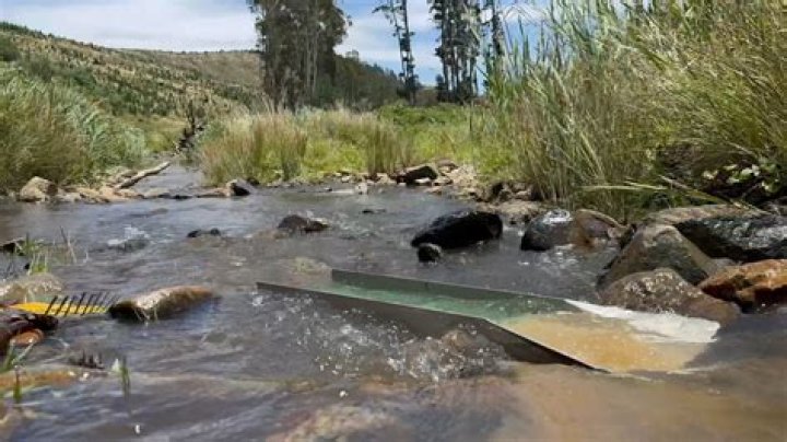 Did coldwater creek reopen?