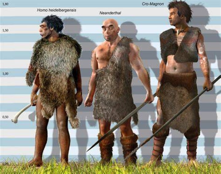 Did cro magnon and neanderthal coexist?