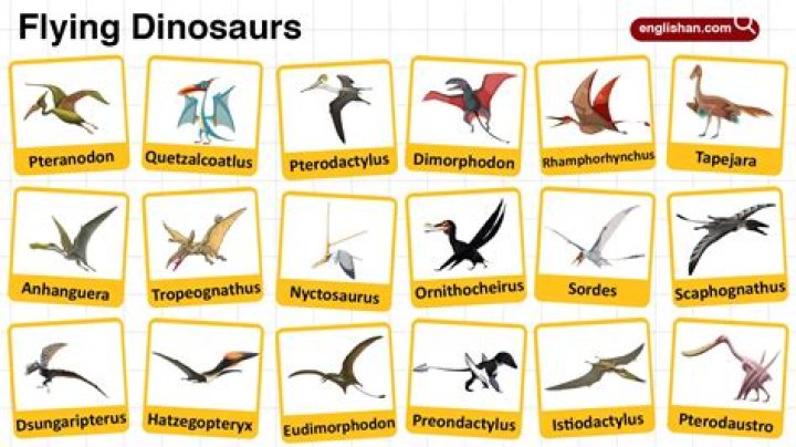 Did flying dinosaurs survive?