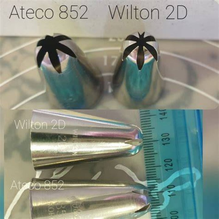 Do ateco tips fit wilton couplers?