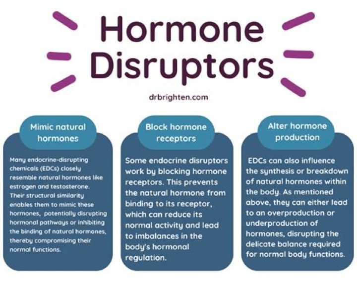 Do hormones cause horniness?