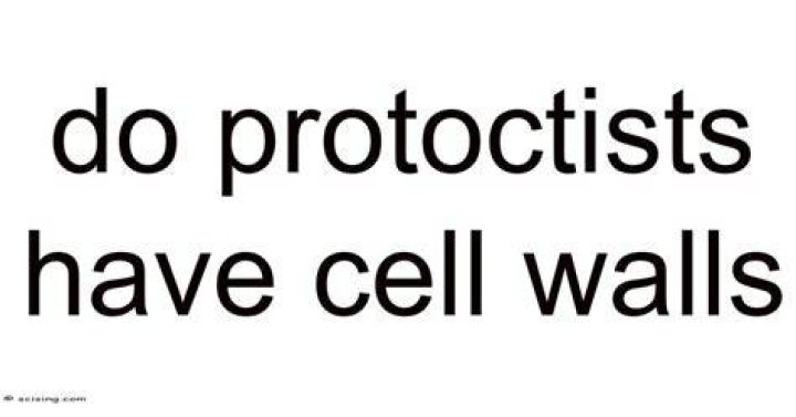 Do protoctists have cell walls?