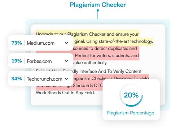 Do teachers check for plagiarism?