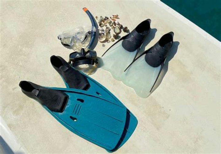 Do you need fins for scalloping?