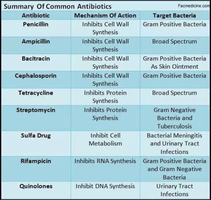 Do you need iv antibiotics for bacteremia?