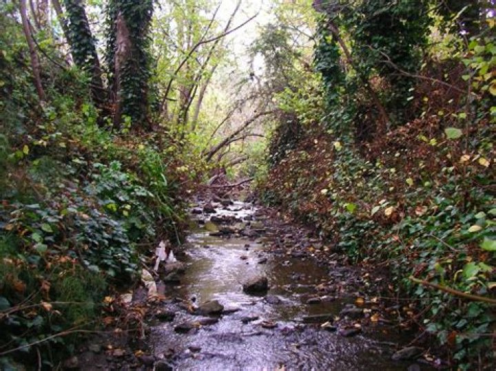 Do you say creek or crick?