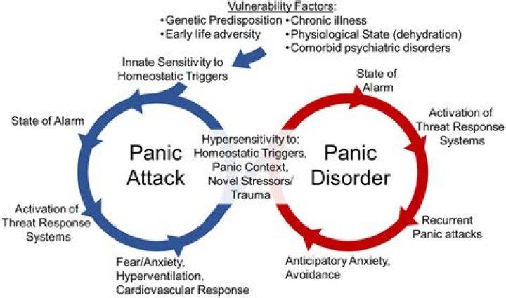 Does anxiety cause panic attacks?