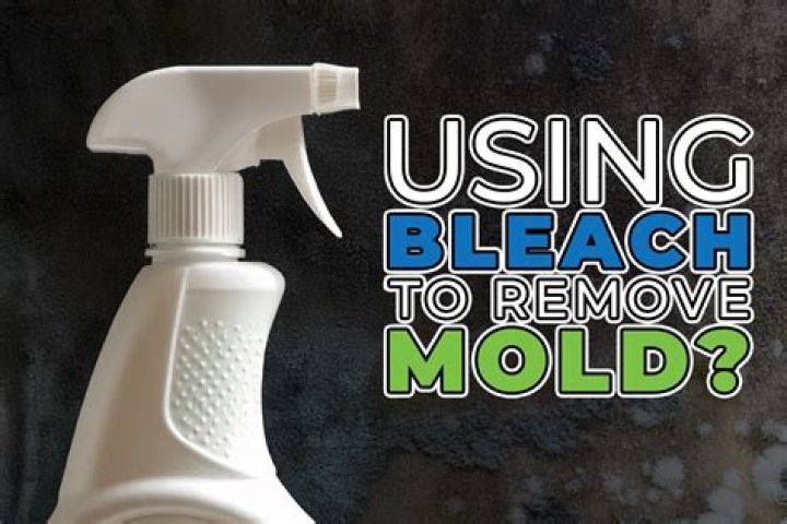 Does bleach remediate mold?