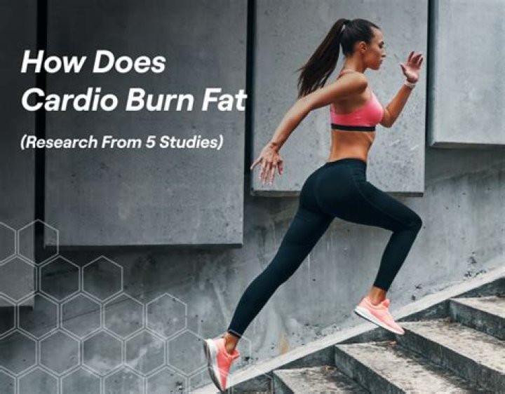 Does cardio burn fat?