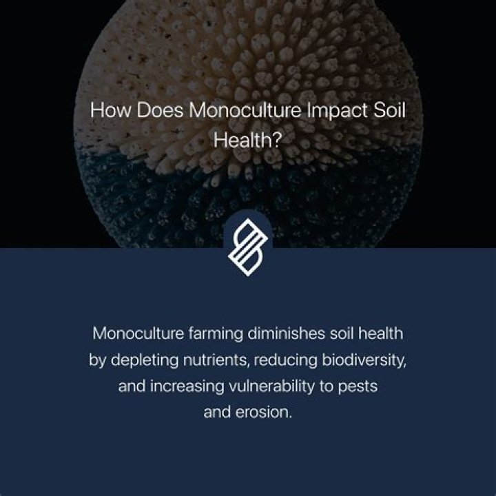 Does dairy farming follow monoculture?
