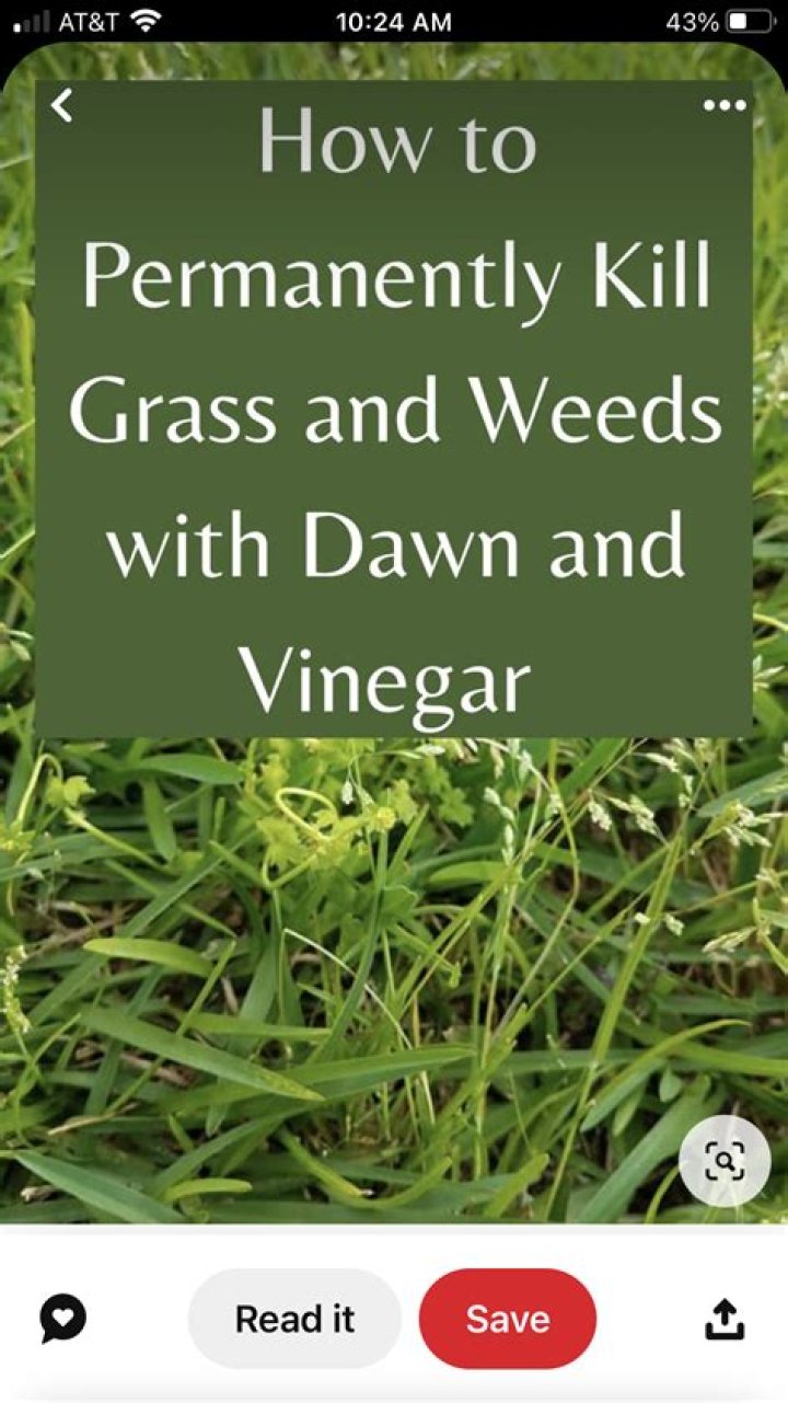 Does degreaser kill grass?