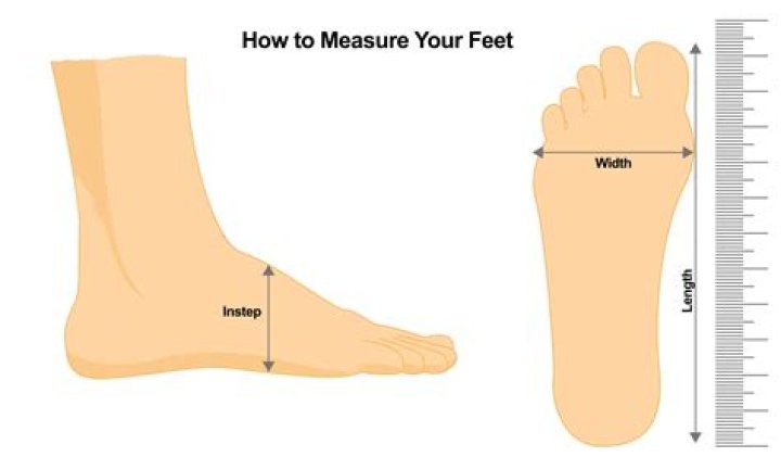 Does foot length determine height?
