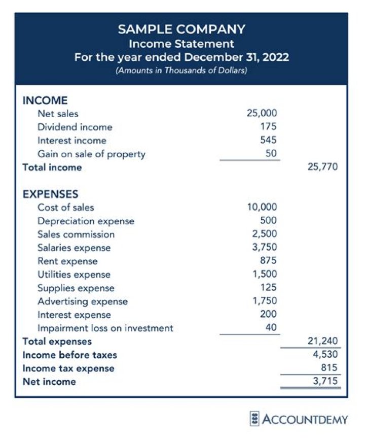 Does income statement includes revenues?