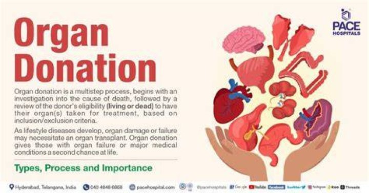 Does organ donation disfigure your body?