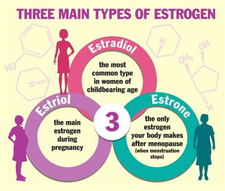 Does soy have estrogenic properties?