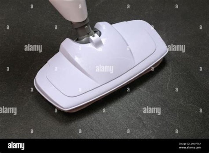 Does steam mopping kill germs?